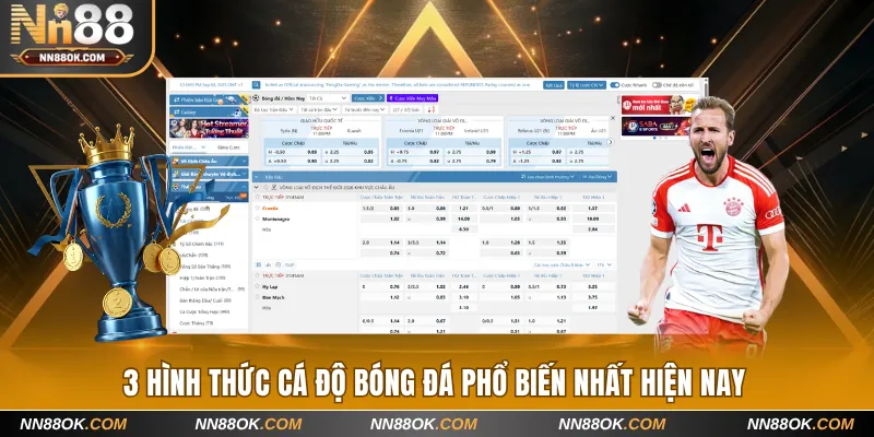 3 hình thức cá độ bóng đá phổ biến nhất hiện nay