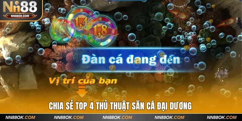 Chia sẻ top 4 thủ thuật săn cá đại dương