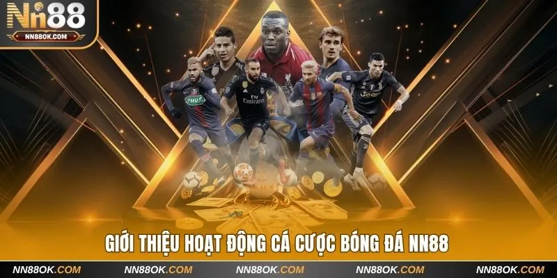 Giới thiệu hoạt động cá cược bóng đá NN88